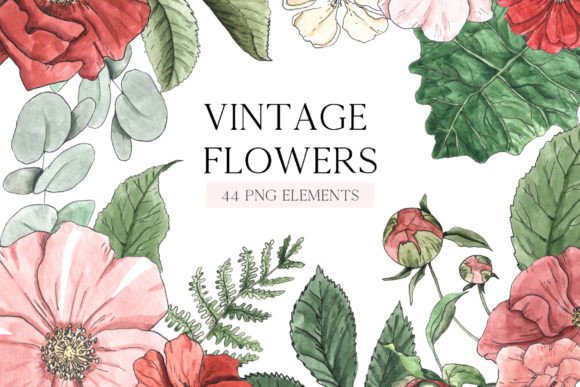 Download Watercolor Vintage Fall Flowers Clipart - Premium Resources