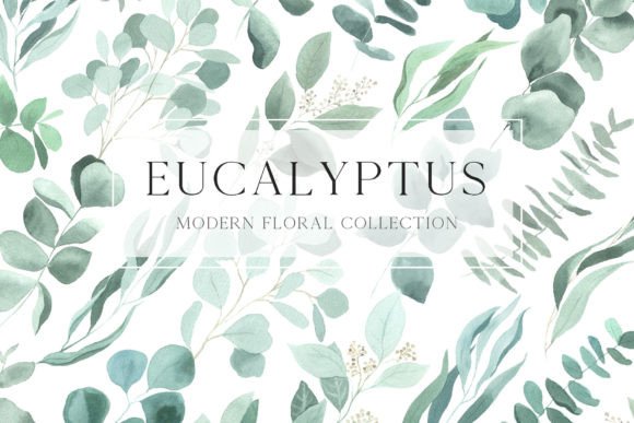 Download Watercolor Eucalyptus Leaves Clipart PNG - Premium Bundle