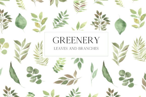 Download Watercolor Greenery Leaves Clipart - Premium Resources